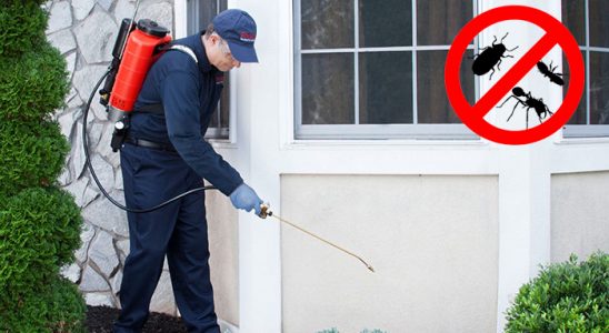 Söğüt Dezenfeksiyon böcek ilaçlama ve haşere kontrolü — ilaclama-tr.com